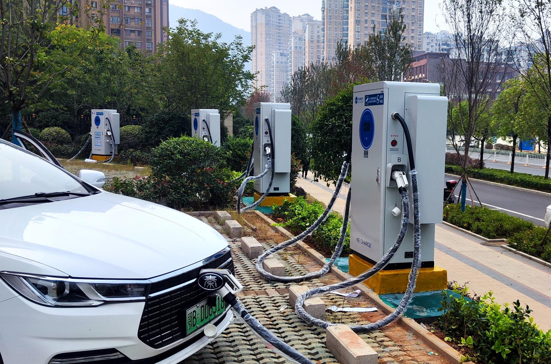 游艇会·yth206(中国)最新官方网站