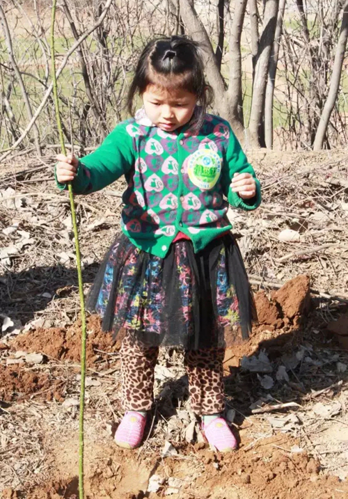 游艇会·yth206(中国)最新官方网站